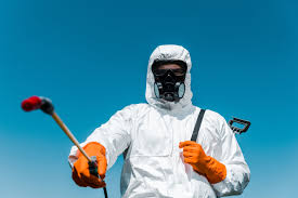 Best Pest Prevention Services  in Everett, WA